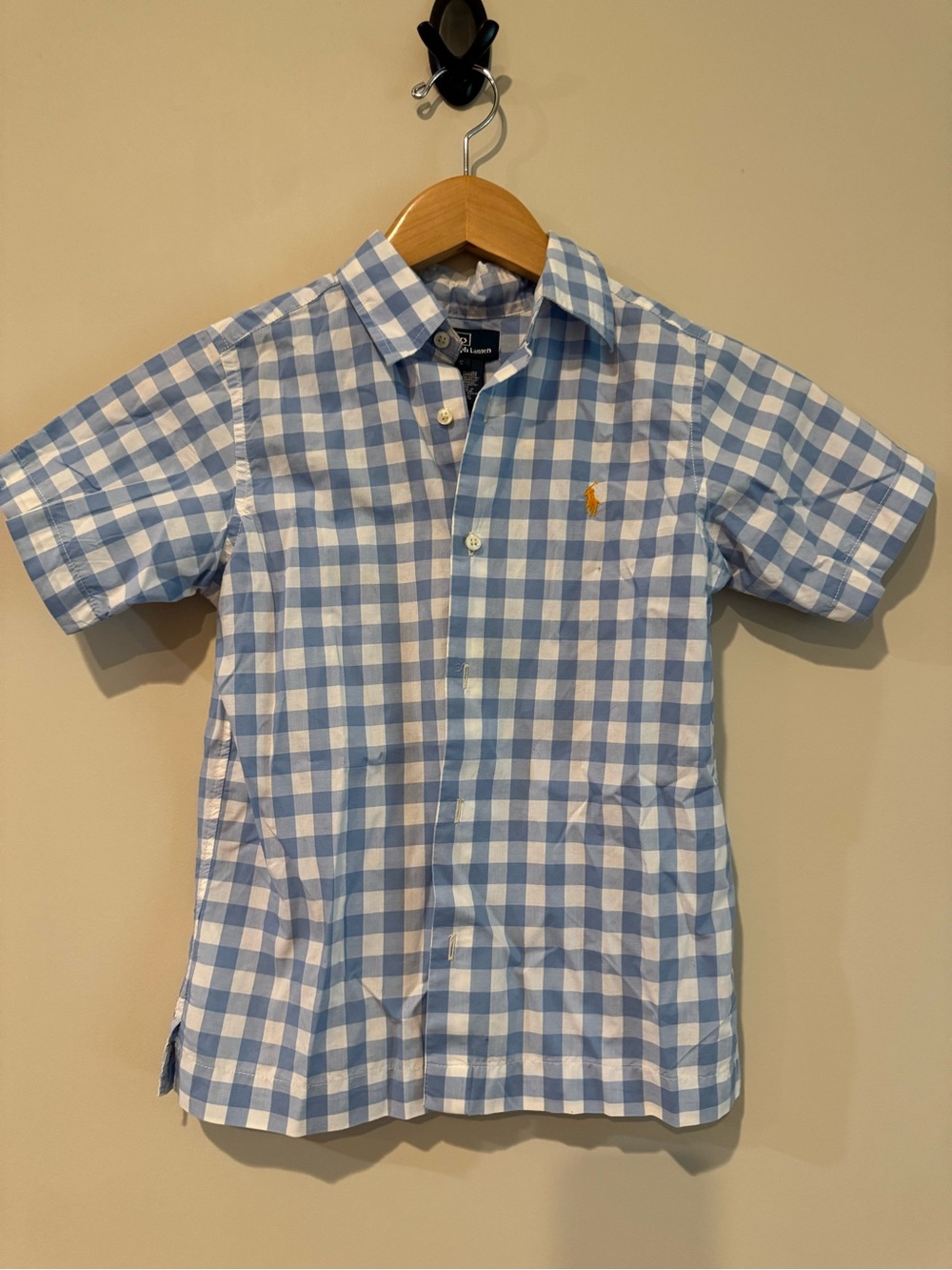 Ralph Lauren Light Blue and White Gingham Button-Down Shirt